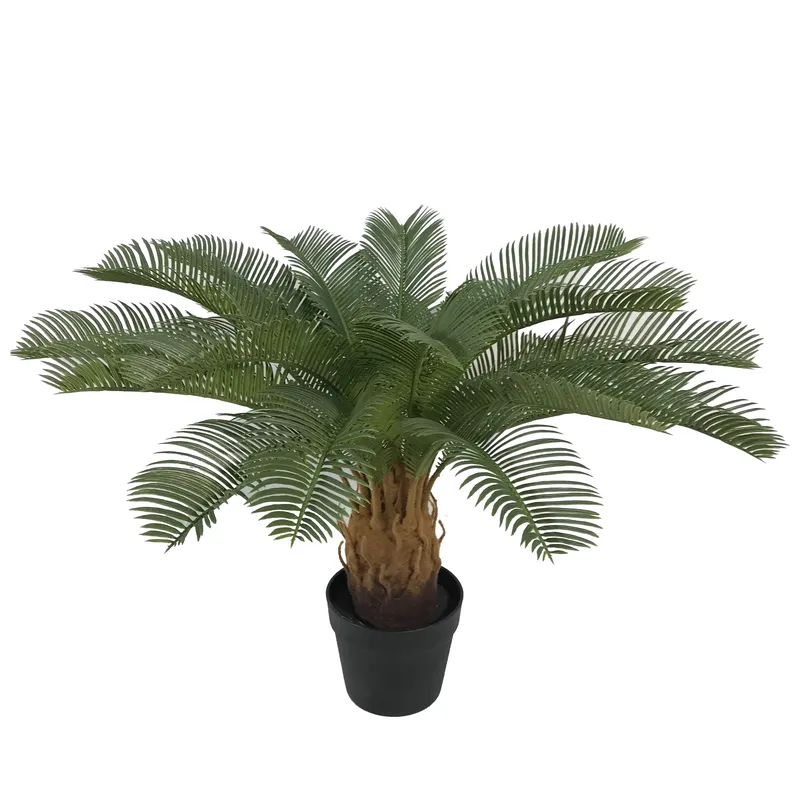 Kunstmatige Cycas Sago Bonsai  - Home Decor Handicraft recensie en prijs