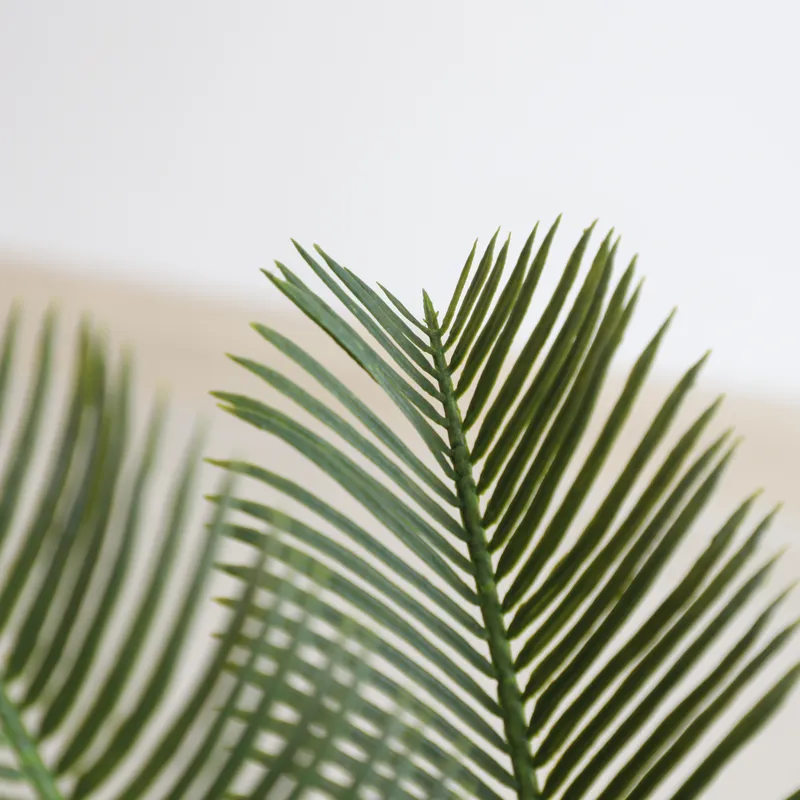 Kunstmatige Cycas Sago Bonsai  - Home Decor Handicraft recensie en prijs
