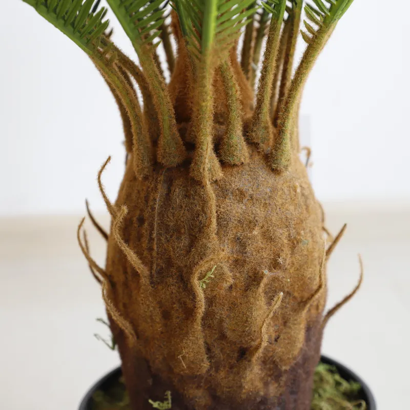 Kunstmatige Cycas Sago Bonsai  - Home Decor Handicraft recensie en prijs
