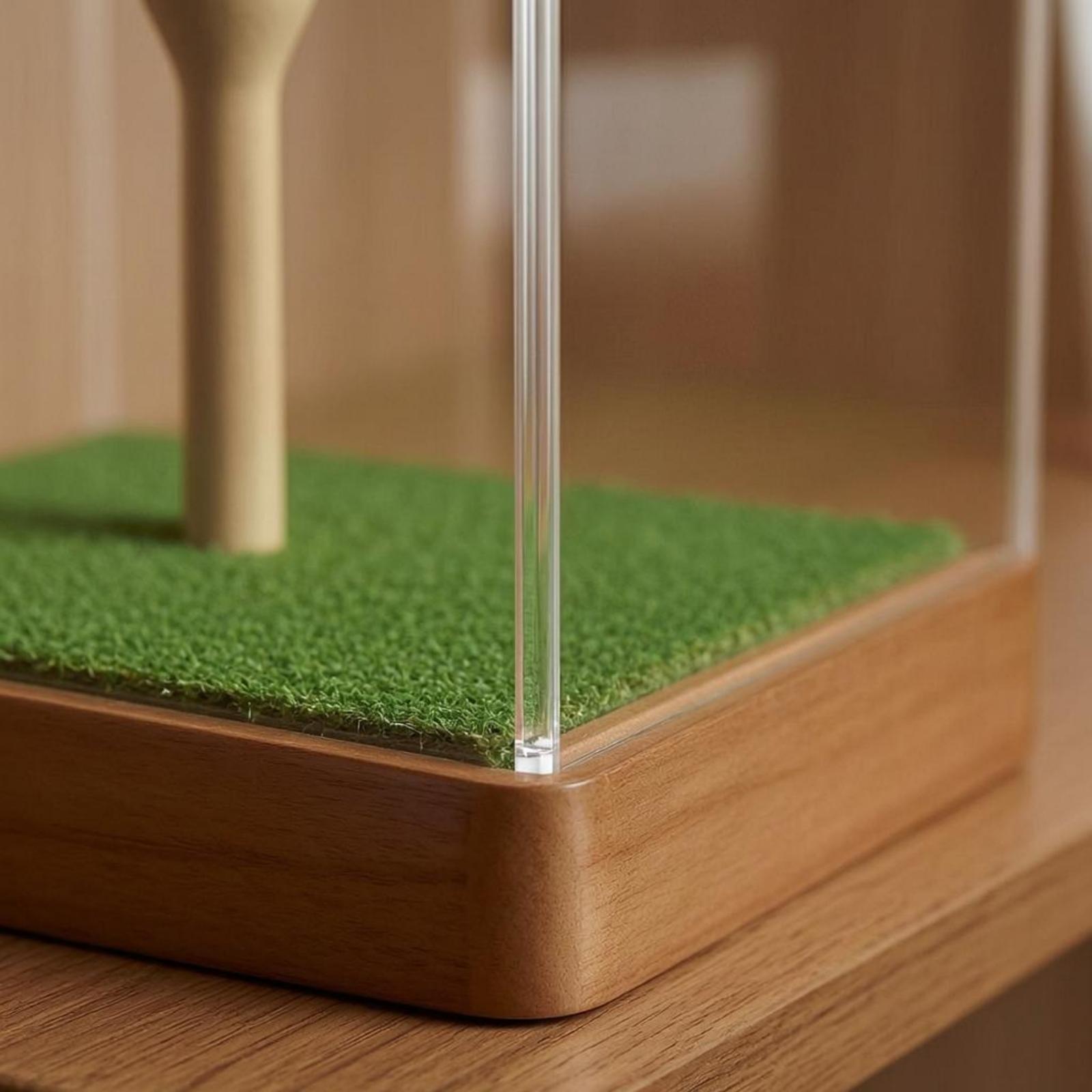 Golfbalhouder van acryl met gr - Home Decor Green recensie en prijs