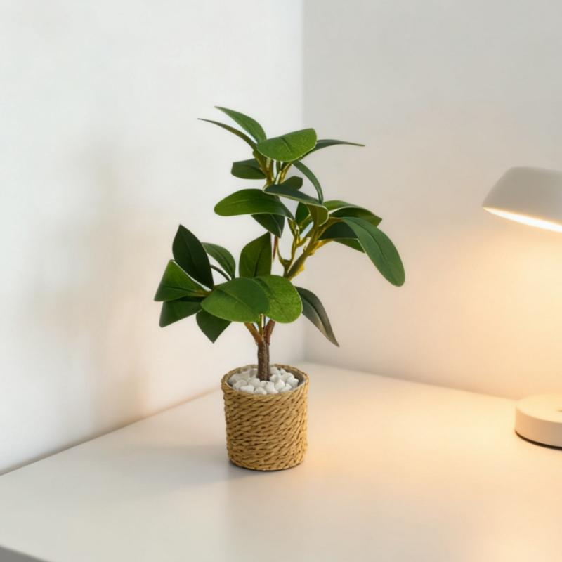 1/6 Poppenhuis Simulatie Groen - Home Decor Green recensie en prijs