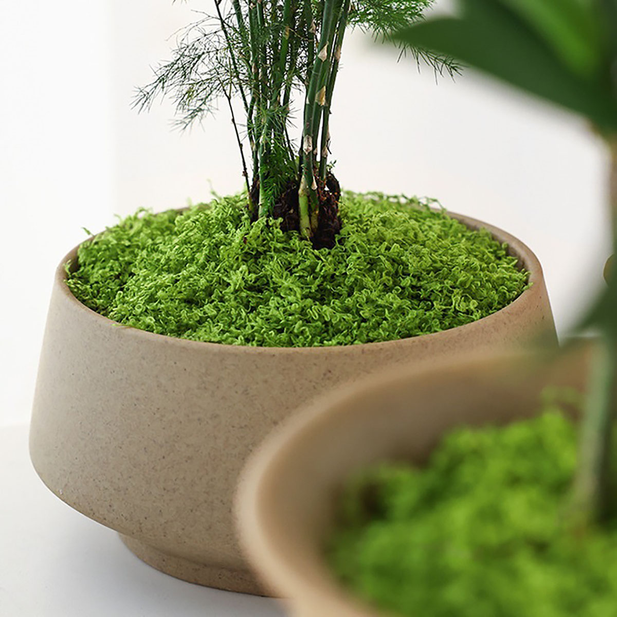 Ongeveer 20g Kunstmatige Groen - Home Decor Handicraft recensie en prijs
