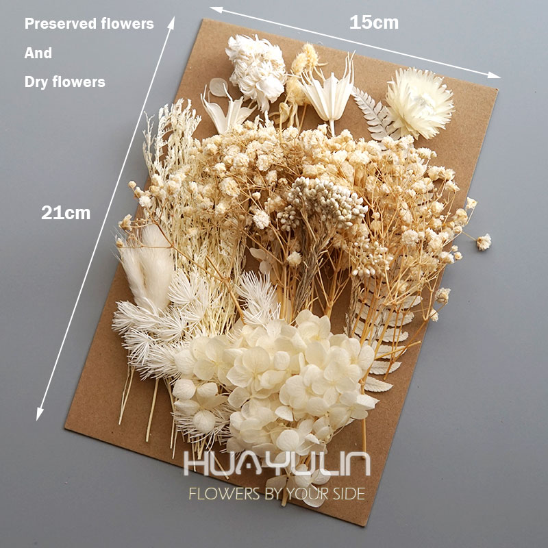 1-pack kunstplanten gedroogde  - Home Decor Handicraft recensie en prijs